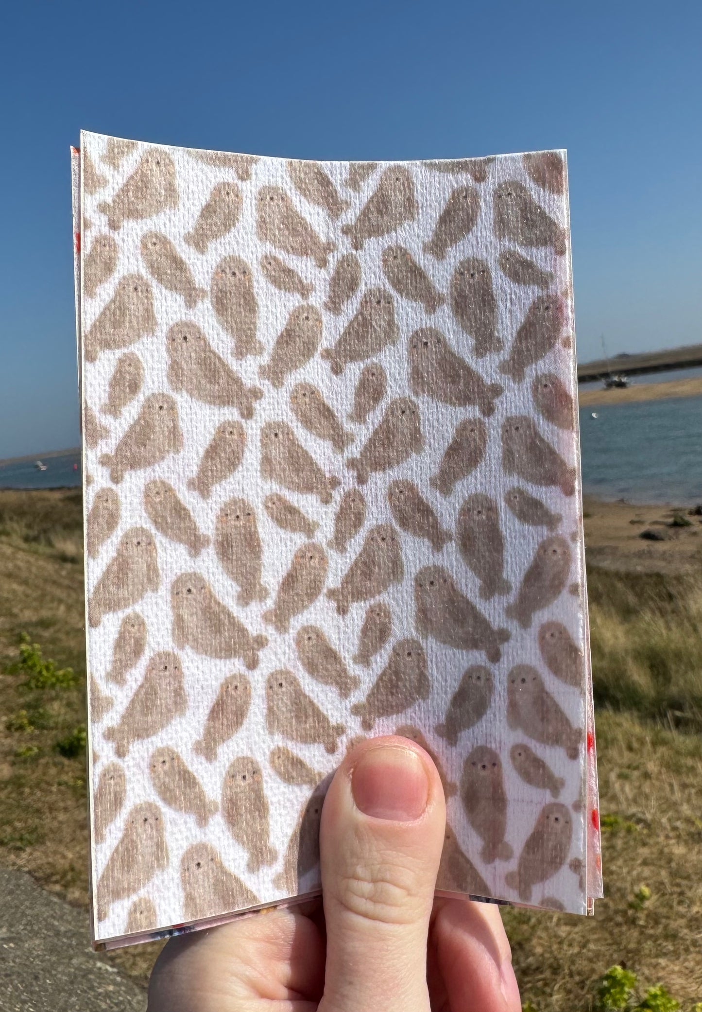 Seals summer seaside tubie tape