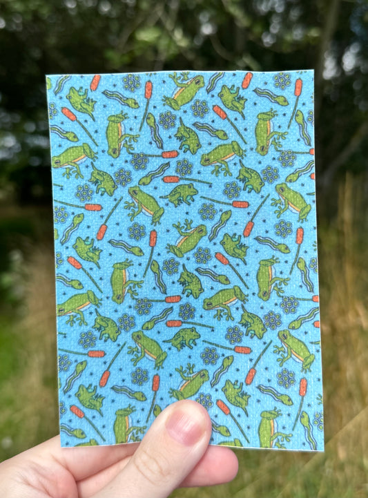 Frog life cycle tubie tape