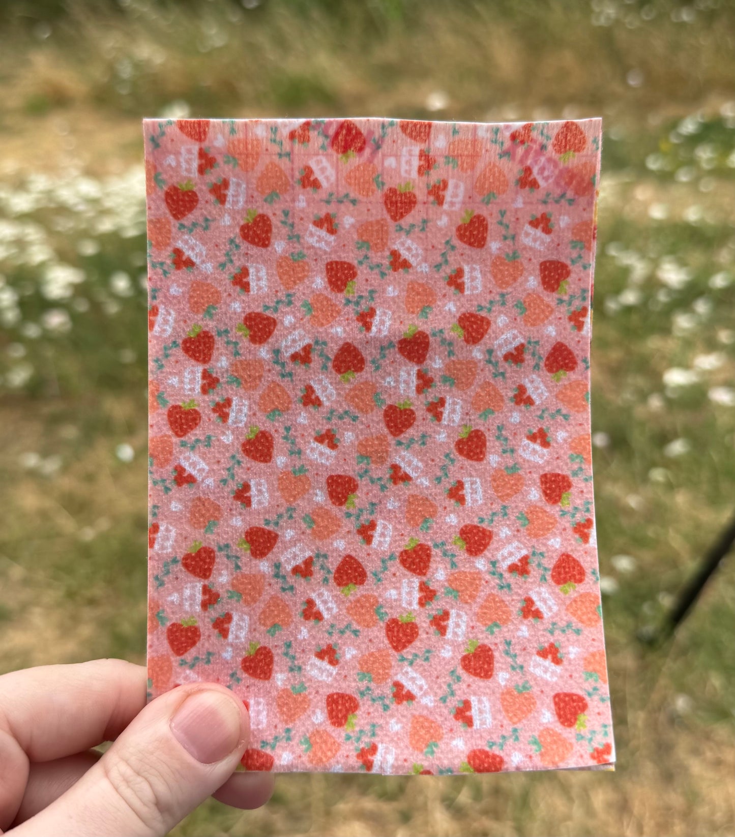 Summers day strawberry picking Tubie tape