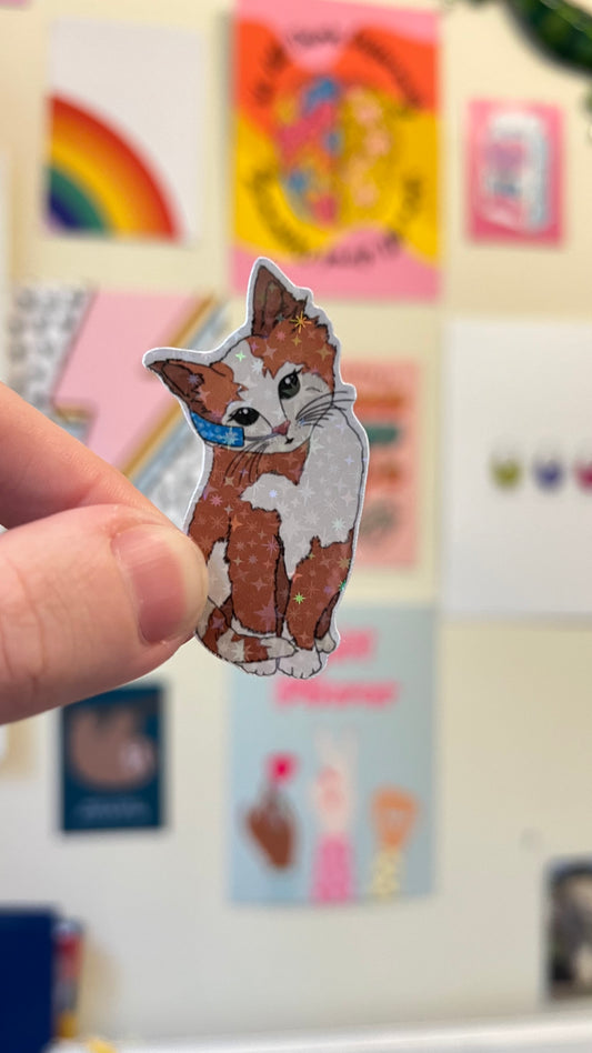 Tubie cat holographic stickers