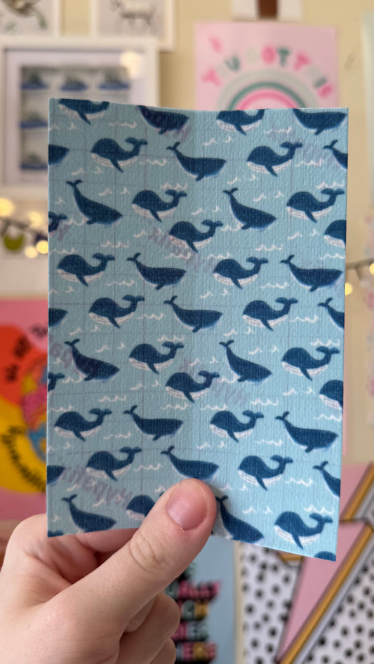 Blue whales summer 2025 Tubie tape collection